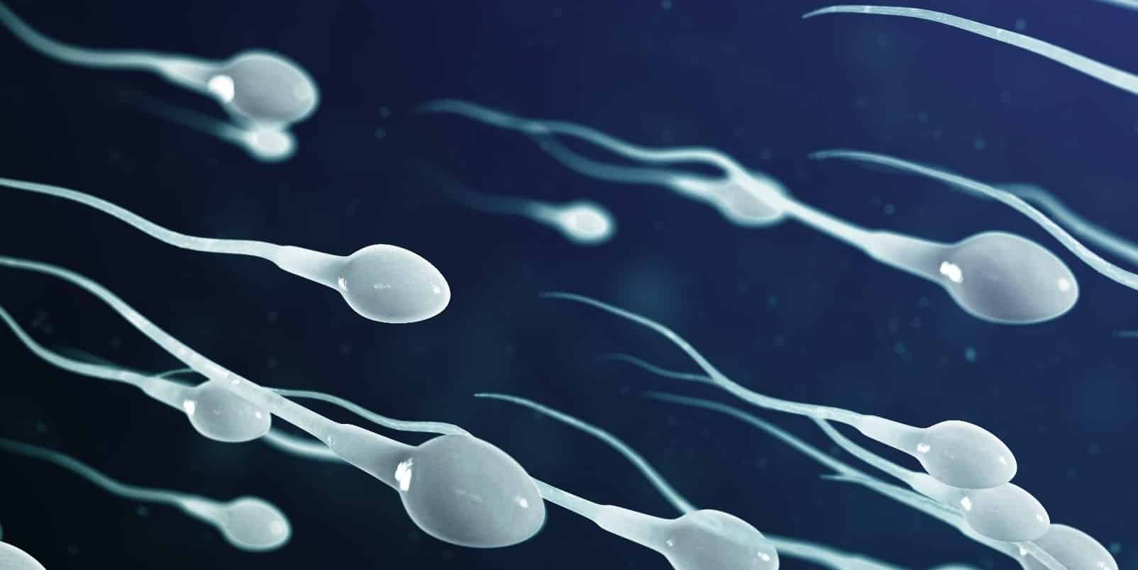 Mejorar la fertilidad masculina de forma natural: ¿Cómo hacerlo?